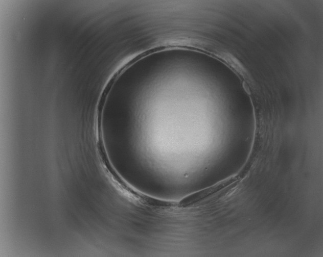 X0000067911036200604201359