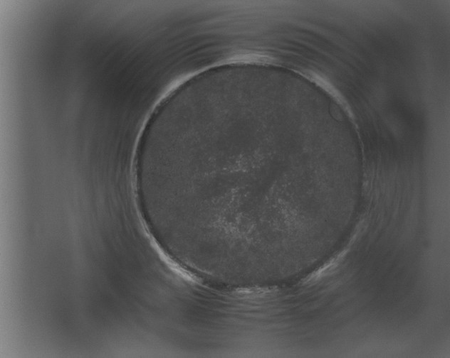 X0000067911037200604201359