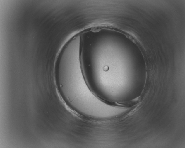 X0000067911038200604201359