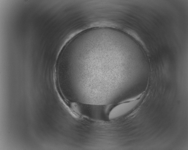 X0000067911040200604201359