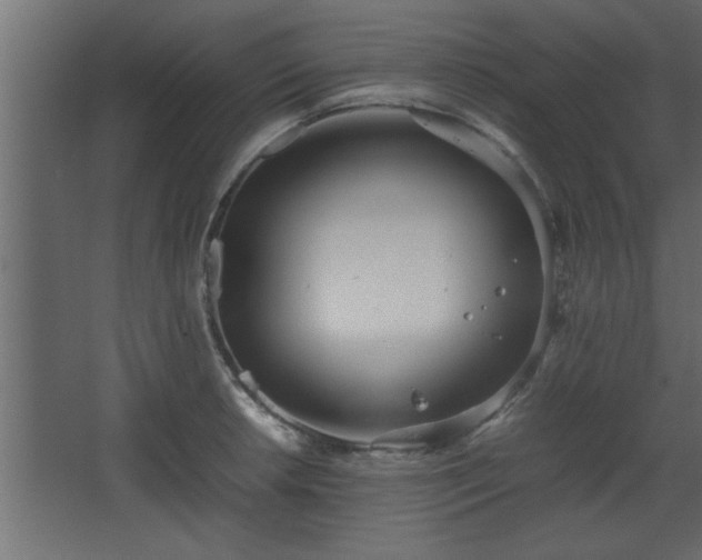 X0000067911042200604201359