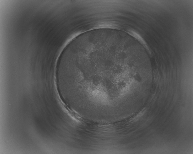 X0000067911043200604201359