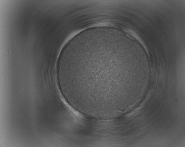 X0000067911045200604201359