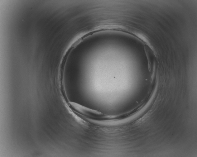 X0000067911046200604201359