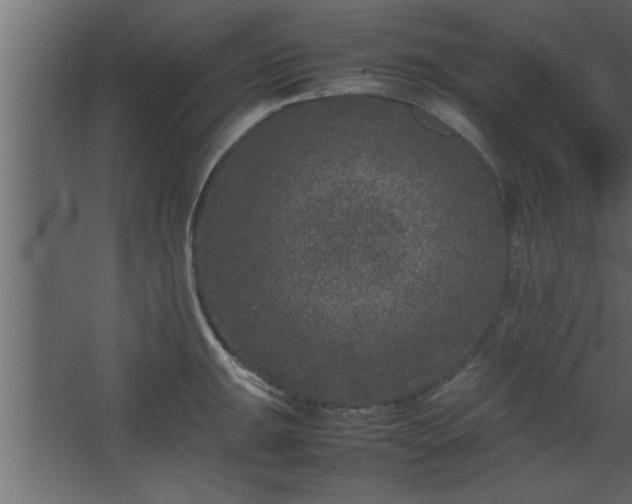 X0000067911047200604201359