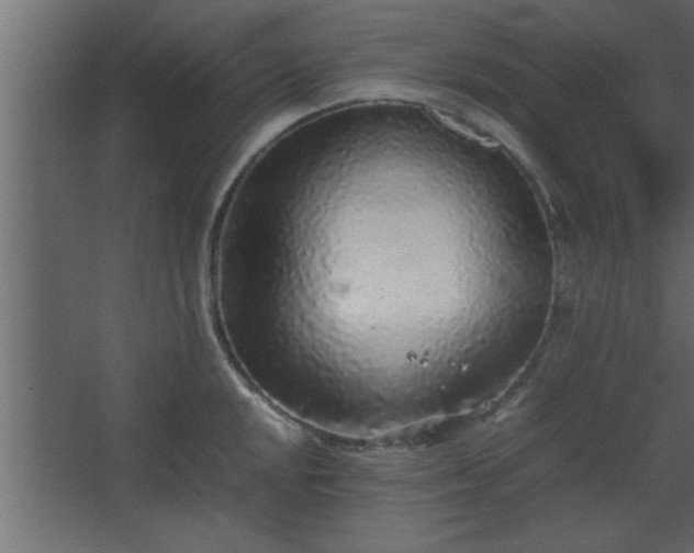 X0000067911048200604201359