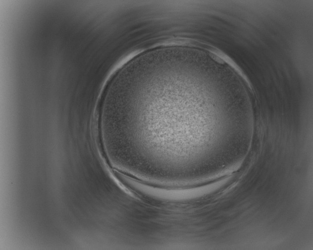 X0000067911053200604201359