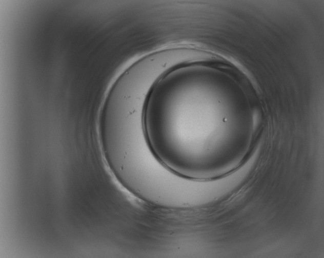 X0000067911054200604201359