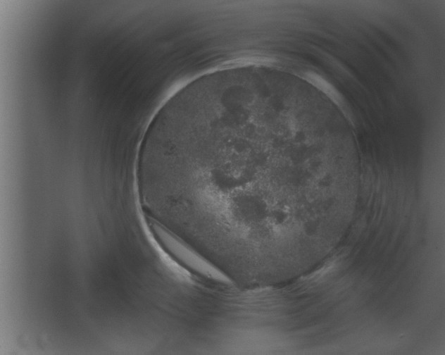 X0000067911055200604201359