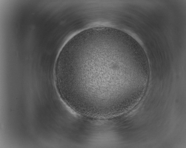 X0000067911056200604201359