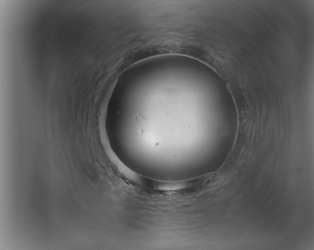 X0000067911057200604201358