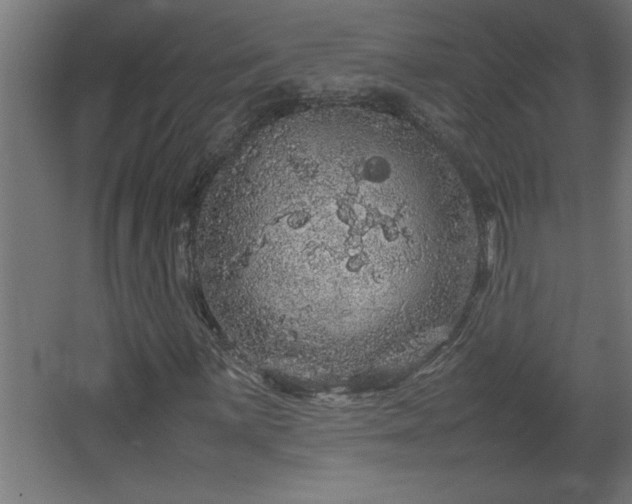 X0000067911059200604201358