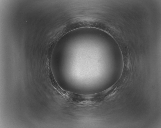 X0000067911061200604201358