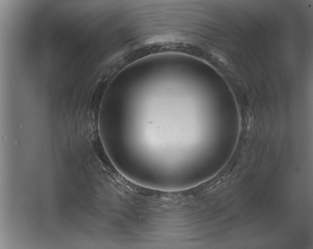 X0000067911062200604201358