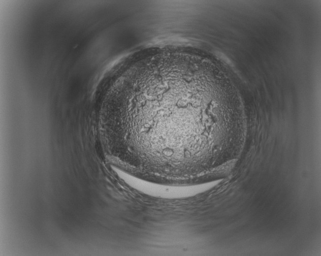 X0000067911063200604201358