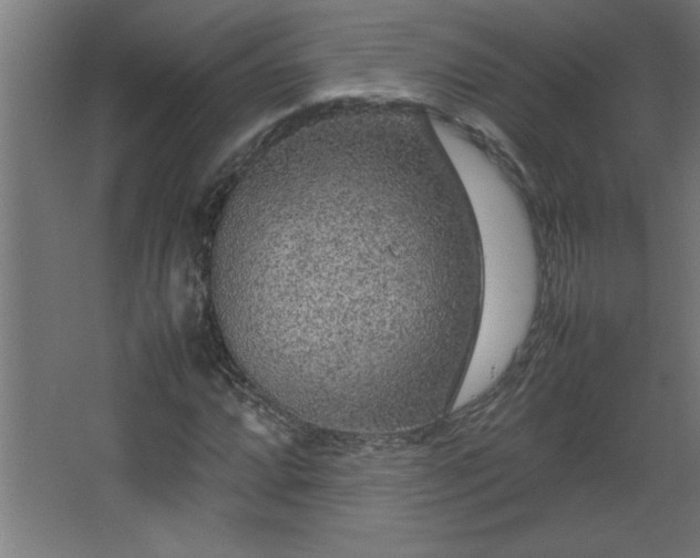 X0000067911064200604201358