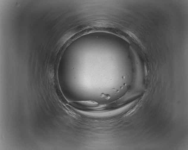 X0000067911065200604201358