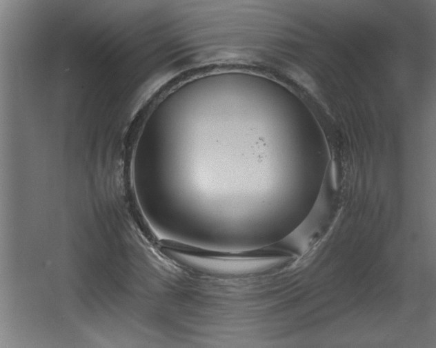 X0000067911066200604201358