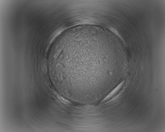 X0000067911067200604201358