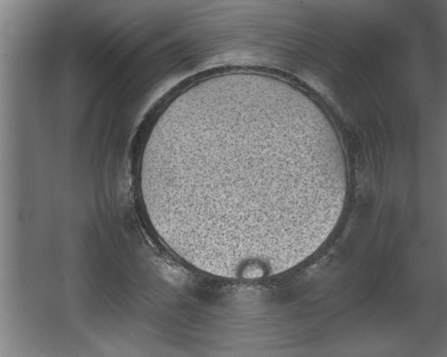 X0000067911070200604201358