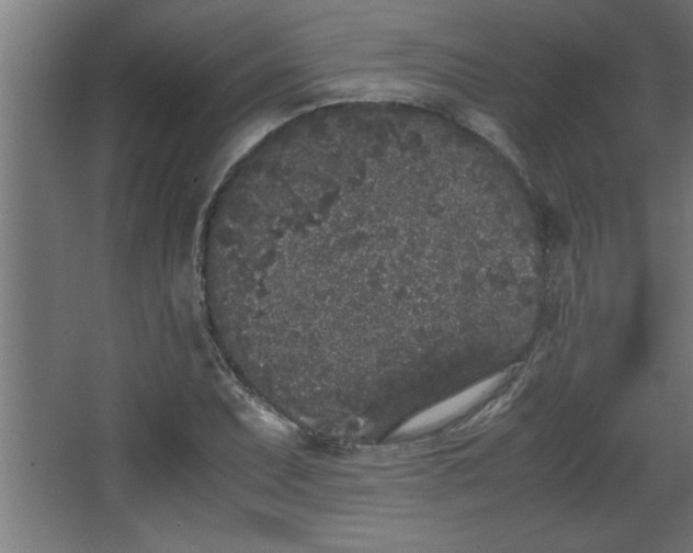 X0000067911071200604201358