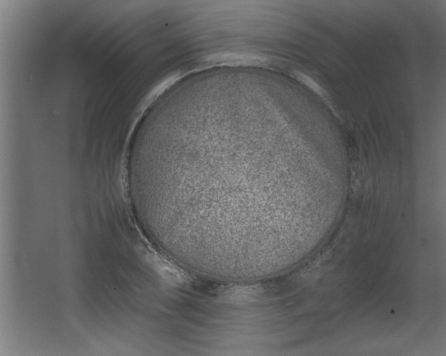 X0000067911074200604201358