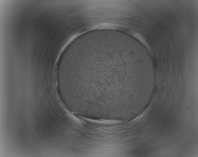 X0000067911075200604201358