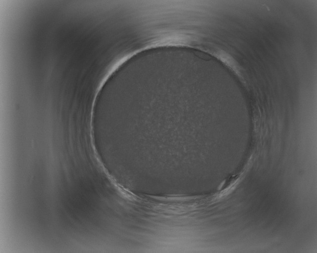 X0000067911077200604201358