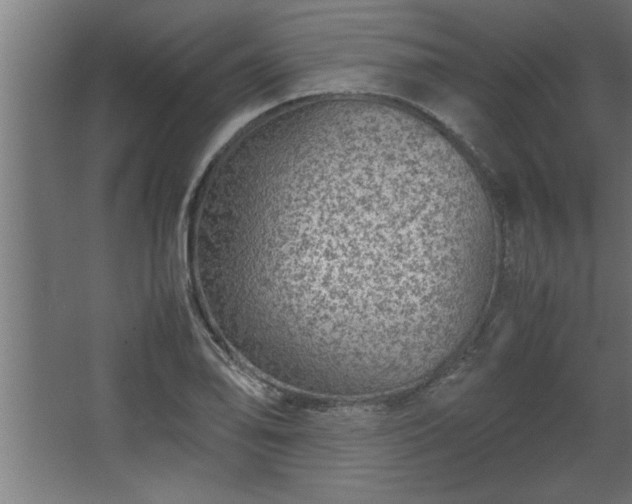 X0000067911078200604201358