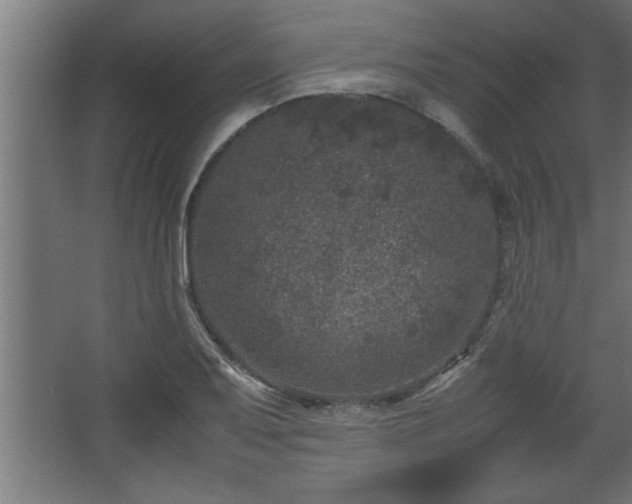 X0000067911079200604201358