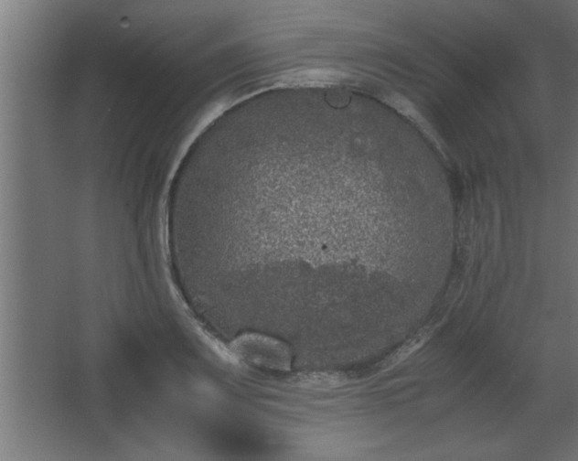 X0000067911083200604201358