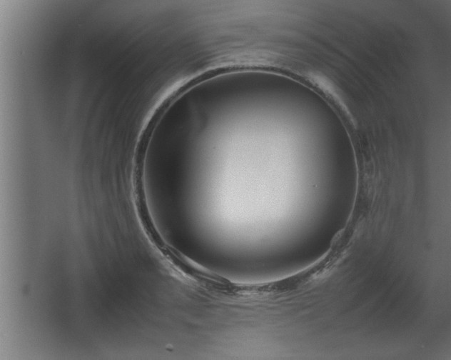 X0000067911085200604201358