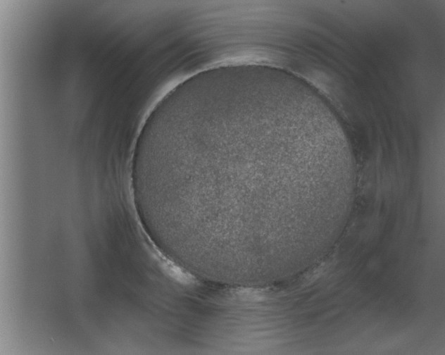 X0000067911086200604201358