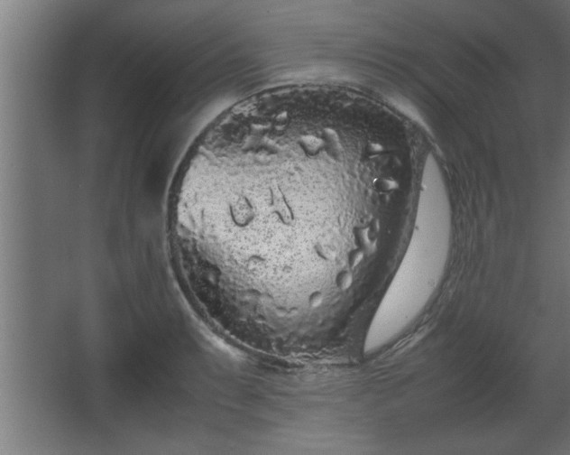 X0000067911087200604201358