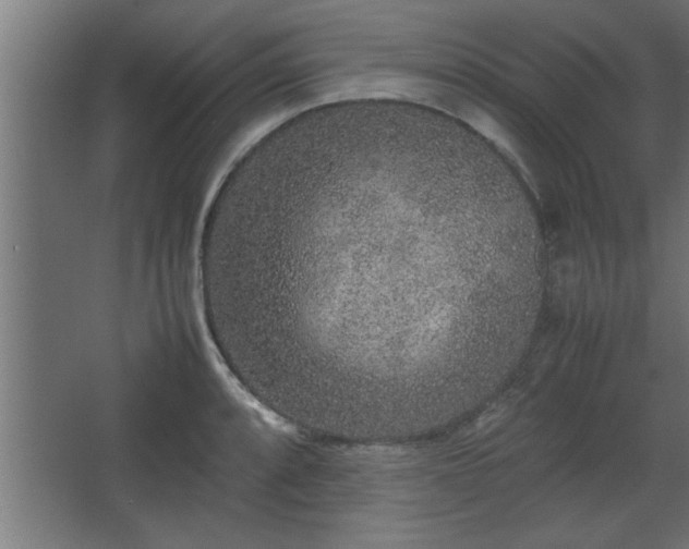 X0000067911088200604201358