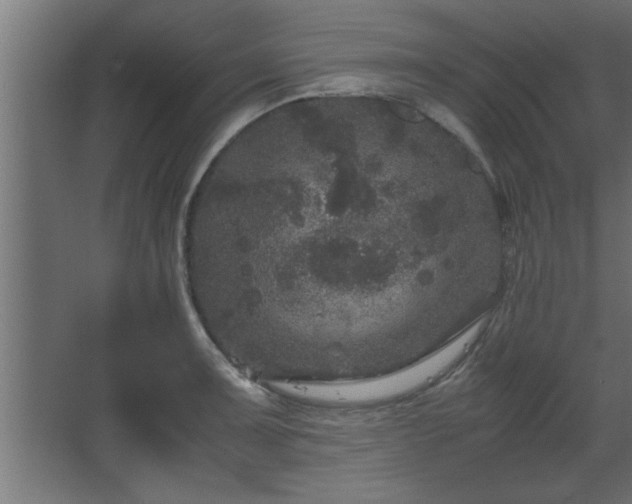 X0000067911091200604201358