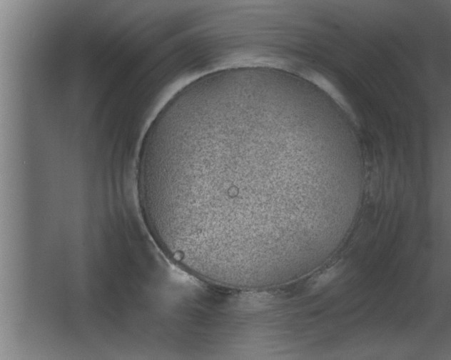 X0000067911094200604201358