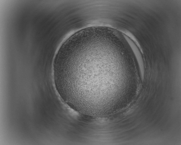 X0000067911096200604201358