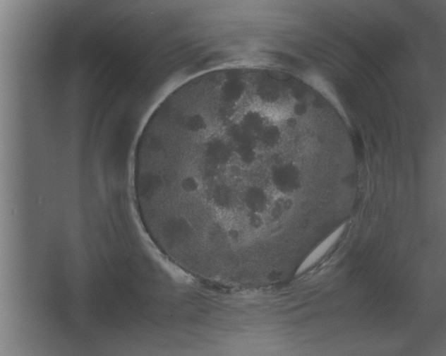 X0000067911099200604201358