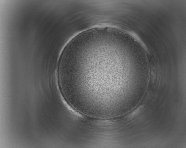 X0000067911100200604201358