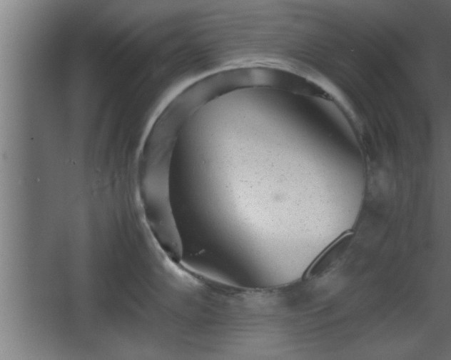 X0000067911102200604201358