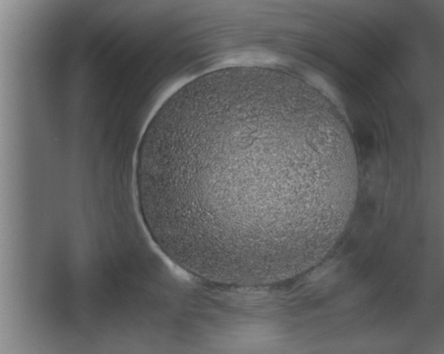 X0000067911103200604201358