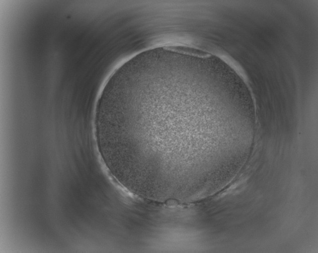 X0000067911104200604201358