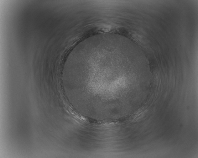 X0000067911105200604201357