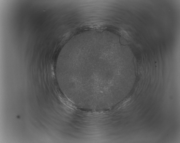 X0000067911106200604201357