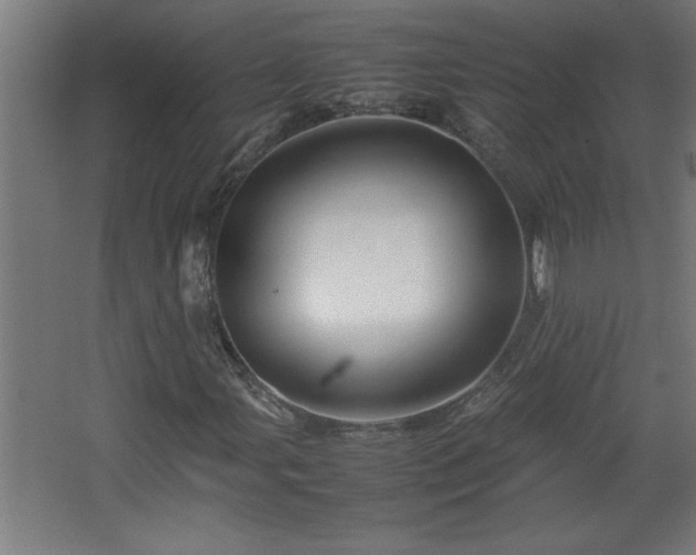 X0000067911107200604201357