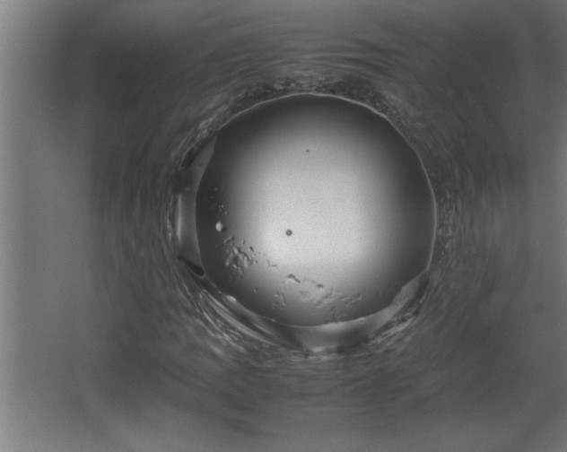 X0000067911109200604201357