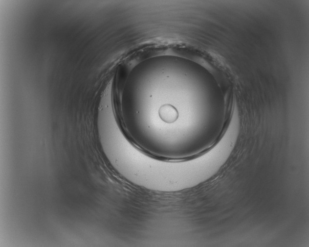 X0000067911110200604201357