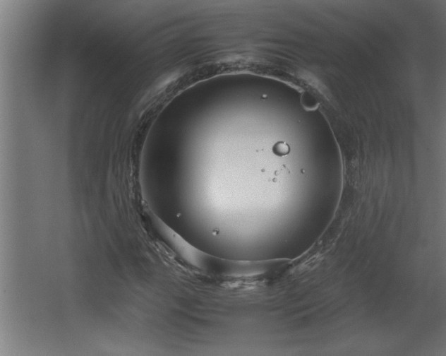 X0000067911111200604201357