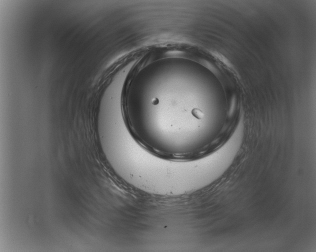 X0000067911112200604201357